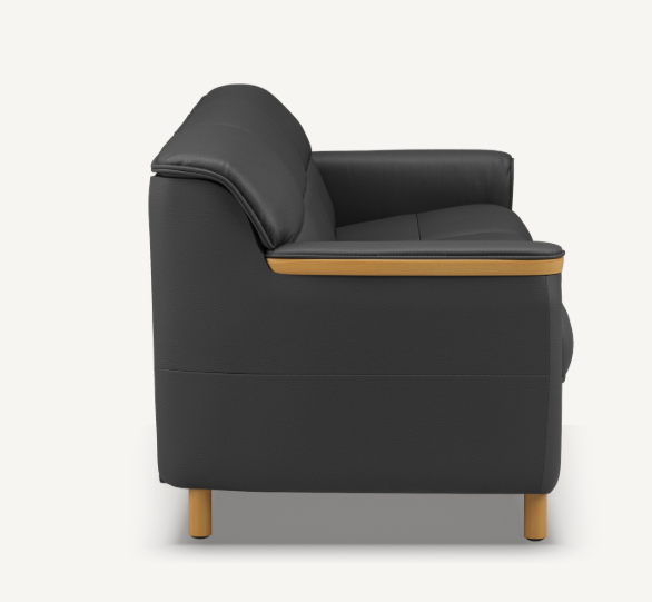 IMG Clayton Sofa-Leather